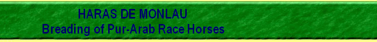 HARAS DE MONLAU
         Breading of Pur-Arab Race Horses
